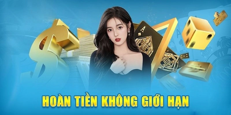 Chính sách hoàn trả